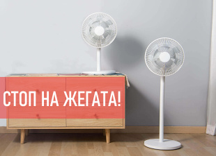 /tarsi?search=fan