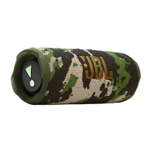 JBL Flip 7 - Squad