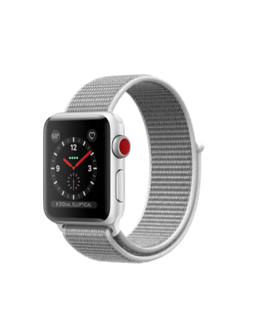 silver seashell apple watch